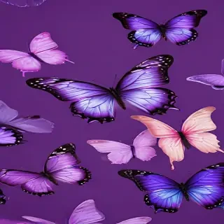 butterfly wallpaper purple