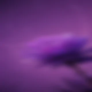purple aesthetic wallpapers iphone