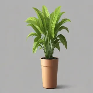 plant png clipart