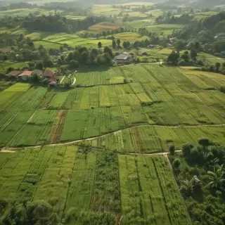 farmland png