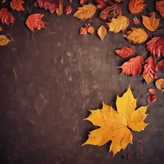 wallpaper autumn iphone