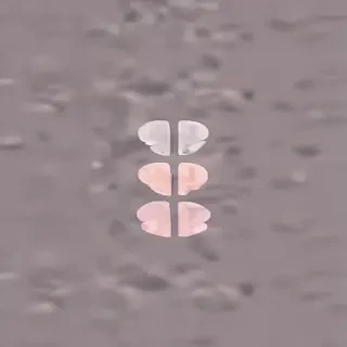 simple aesthetic wallpapers
