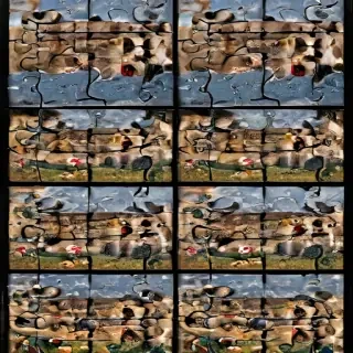 puzzle images