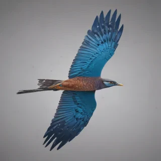bird flying png