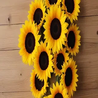 sunflower wallpaper iphone