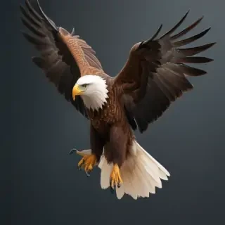 eagle fly png