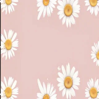 aesthetic daisy wallpaper