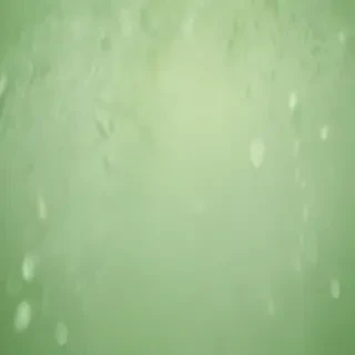 plain light green background