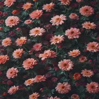 indie aesthetic wallpaper