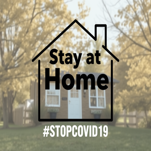 Create a high-resolution image of a stylized house outline with the text "Stay at Home" in bold, modern typography and the hashtag "#STOPCOVID19" below it, using a Canon EOS R camera with a 50mm lens, aperture f/1.8, ISO 100, soft natural lighting.