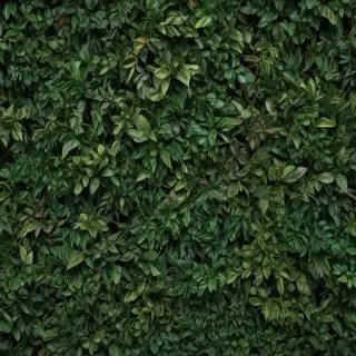 zoom background plants