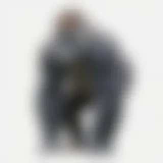 gorilla png