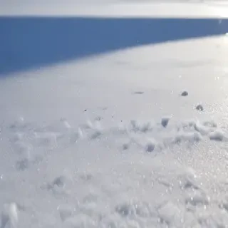 transparent snow