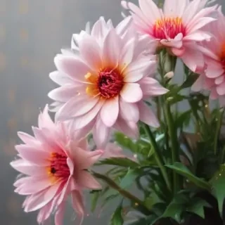 full screen flower wallpaper hd