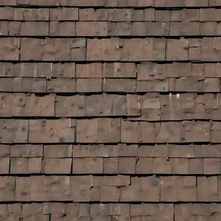 shingles images