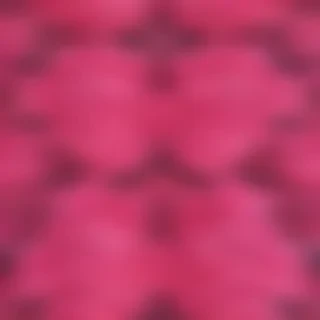 hot pink aesthetic wallpaper