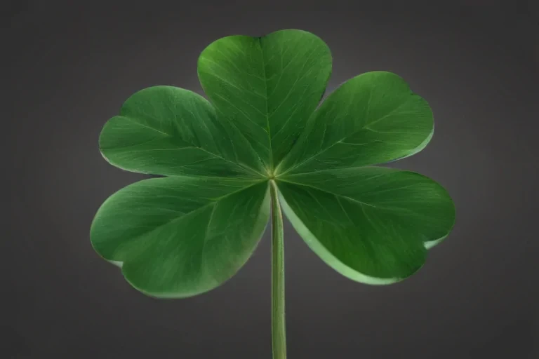 4 leaf clover png