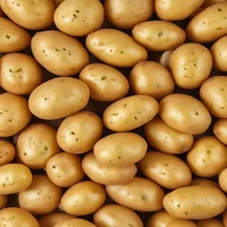 potato png