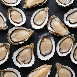 oysters png