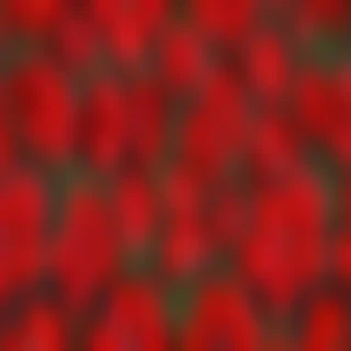 red flower png