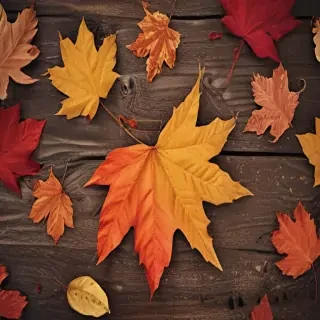 fall iphone wallpaper