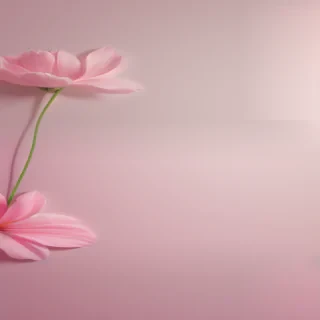 soft backgrounds