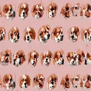 dog wallpaper aesthetic
