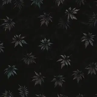 black bg aesthetic