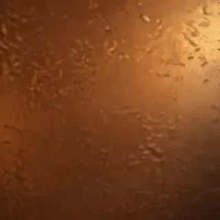 bronze background