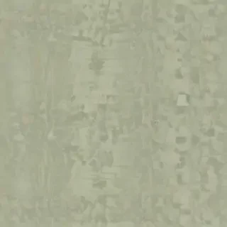 wallpaper aesthetic sage green