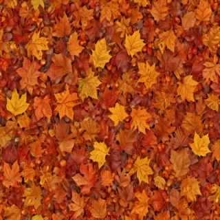 png fall leaves