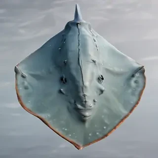stingray png