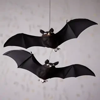 images of halloween bats