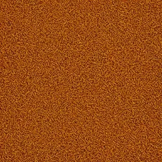 spanish background