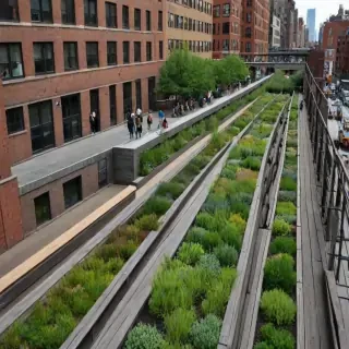 high line photos
