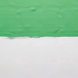 white and green background