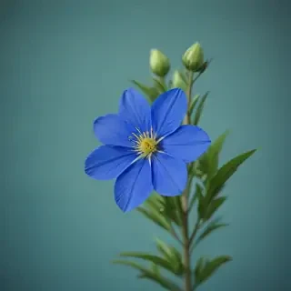 blue flower