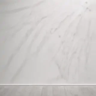 background white wall