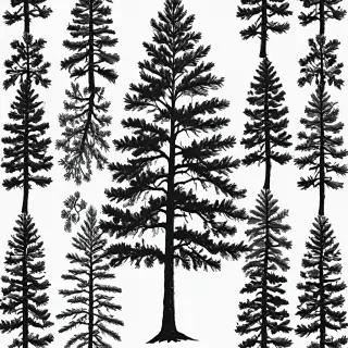 black and white pine tree clipart
