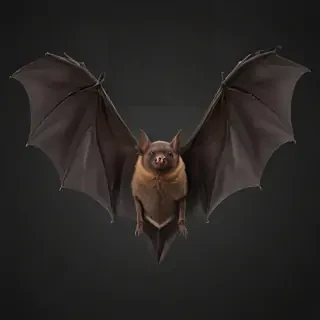 bat png