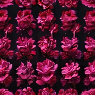 dark pink aesthetic