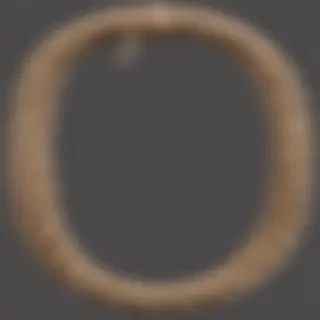 rope png
