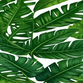 tropical leaf png