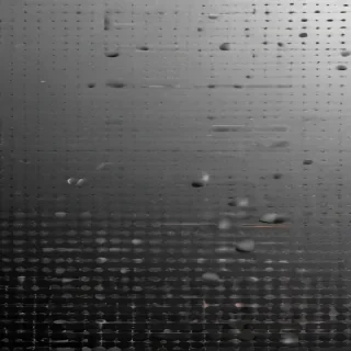 halftone png