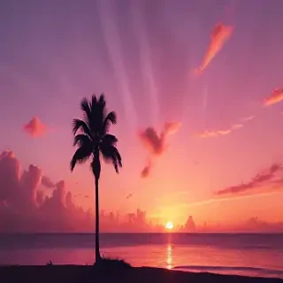sunset aesthetic wallpaper