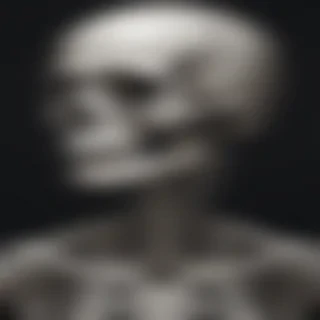 creative skeleton drawing art