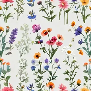 wildflowers transparent background