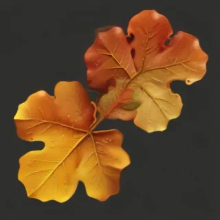 fall leaf png