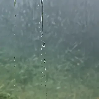 rain sound