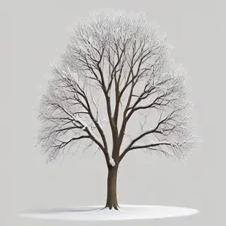 winter tree png